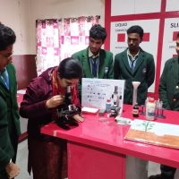 Student project display at New Era Public School Patna, 2025