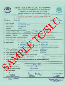 Sample-TC, New Era Public School, Patna, 2025